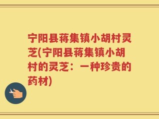 宁阳县蒋集镇小胡村灵芝(宁阳县蒋集镇小胡村的灵芝：一种珍贵的药材)