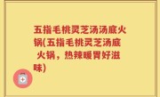 五指毛桃灵芝汤汤底火锅(五指毛桃灵芝汤底 火锅，热辣暖胃好滋味)
