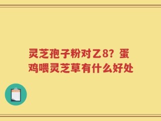 灵芝孢子粉对乙8？蛋鸡喂灵芝草有什么好处