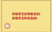 安徽灵芝在哪里买的(安徽灵芝购买指南)