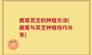鹿茸灵芝的种植方法(鹿茸与灵芝种植技巧分享)