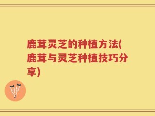 鹿茸灵芝的种植方法(鹿茸与灵芝种植技巧分享)