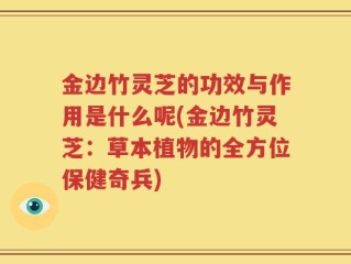 金边竹灵芝的功效与作用是什么呢(金边竹灵芝：草本植物的全方位保健奇兵)