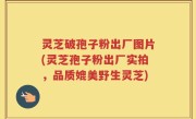 灵芝破孢子粉出厂图片(灵芝孢子粉出厂实拍，品质媲美野生灵芝)