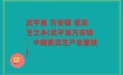 武平县 万安镇 紫灵芝之乡(武平县万安镇：中国紫灵芝产业重镇)
