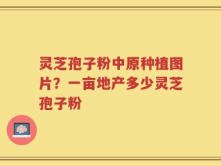 灵芝孢子粉中原种植图片？一亩地产多少灵芝孢子粉