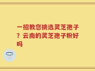 一招教您挑选灵芝孢子？云南的灵芝孢子粉好吗