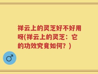 祥云上的灵芝好不好用呀(祥云上的灵芝：它的功效究竟如何？)