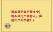 磐石灵芝年产量多少(磐石灵芝产量惊人，实现年产大丰收！)