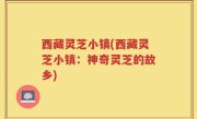 西藏灵芝小镇(西藏灵芝小镇：神奇灵芝的故乡)