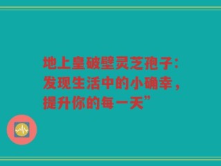 地上皇破壁灵芝孢子：发现生活中的小确幸，提升你的每一天”