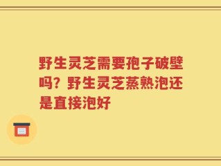 野生灵芝需要孢子破壁吗？野生灵芝蒸熟泡还是直接泡好