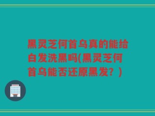 黑灵芝何首乌真的能给白发洗黑吗(黑灵芝何首乌能否还原黑发？)