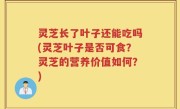 灵芝长了叶子还能吃吗(灵芝叶子是否可食？灵芝的营养价值如何？)