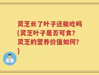 灵芝长了叶子还能吃吗(灵芝叶子是否可食？灵芝的营养价值如何？)