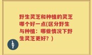 野生灵芝和种植的灵芝哪个好一点(区分野生与种植：哪些情况下野生灵芝更好？)