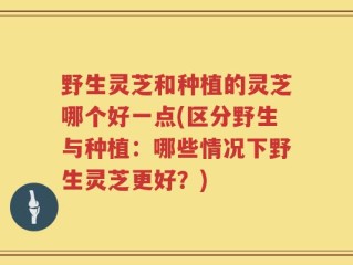 野生灵芝和种植的灵芝哪个好一点(区分野生与种植：哪些情况下野生灵芝更好？)