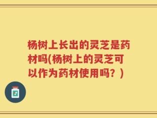杨树上长出的灵芝是药材吗(杨树上的灵芝可以作为药材使用吗？)