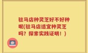 驻马店种灵芝好不好种呢(驻马店适宜种灵芝吗？探索实践证明！)