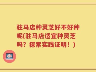 驻马店种灵芝好不好种呢(驻马店适宜种灵芝吗？探索实践证明！)