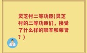 灵芝村二等功臣(灵芝村的二等功臣们，接受了什么样的艰辛和荣誉？)