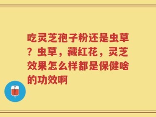 吃灵芝孢子粉还是虫草？虫草，藏红花，灵芝效果怎么样都是保健啥的功效啊