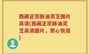 西藏正宗酥油灵芝图片高清(西藏正宗酥油灵芝高清图片，赏心悦目)