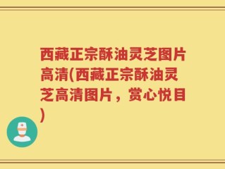 西藏正宗酥油灵芝图片高清(西藏正宗酥油灵芝高清图片，赏心悦目)
