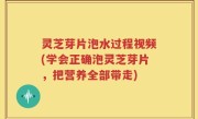 灵芝芽片泡水过程视频(学会正确泡灵芝芽片，把营养全部带走)