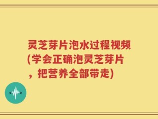 灵芝芽片泡水过程视频(学会正确泡灵芝芽片，把营养全部带走)
