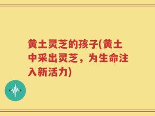 黄土灵芝的孩子(黄土中采出灵芝，为生命注入新活力)