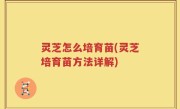 灵芝怎么培育苗(灵芝培育苗方法详解)