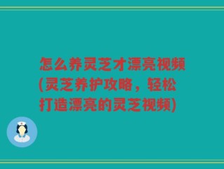 怎么养灵芝才漂亮视频(灵芝养护攻略，轻松打造漂亮的灵芝视频)