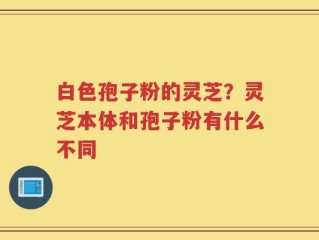 白色孢子粉的灵芝？灵芝本体和孢子粉有什么不同