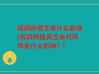 房间种灵芝有什么影响(房间种植灵芝会对环境有什么影响？)