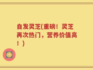 自发灵芝(重磅！灵芝再次热门，营养价值高！)