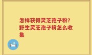 怎样获得灵芝孢子粉？野生灵芝孢子粉怎么收集