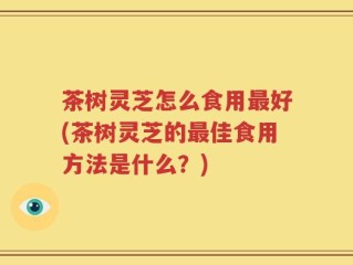 茶树灵芝怎么食用最好(茶树灵芝的最佳食用方法是什么？)