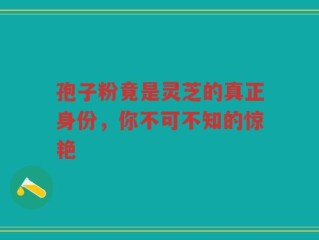 孢子粉竟是灵芝的真正身份，你不可不知的惊艳