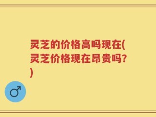 灵芝的价格高吗现在(灵芝价格现在昂贵吗？)