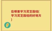 在哪里学习灵芝栽培(学习灵芝栽培的好地方)