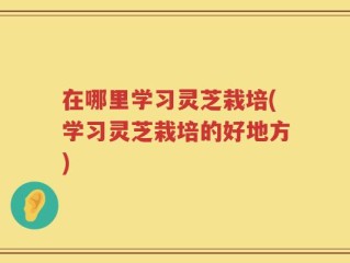在哪里学习灵芝栽培(学习灵芝栽培的好地方)