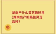 湖南产什么灵芝最好用(湖南出产的最佳灵芝品种？