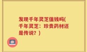 发现千年灵芝值钱吗(千年灵芝：珍贵药材还是传说？)