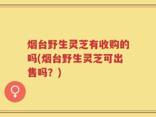 烟台野生灵芝有收购的吗(烟台野生灵芝可出售吗？)