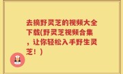 去摘野灵芝的视频大全下载(野灵芝视频合集，让你轻松入手野生灵芝！)