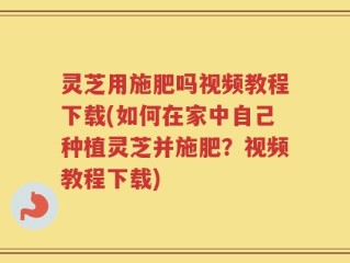 灵芝用施肥吗视频教程下载(如何在家中自己种植灵芝并施肥？视频教程下载)