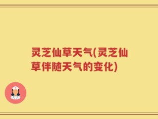 灵芝仙草天气(灵芝仙草伴随天气的变化)