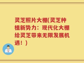 灵芝照片大棚(灵芝种植新势力：现代化大棚给灵芝带来无限发展机遇！)
