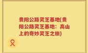 贵阳公路灵芝基地(贵阳公路灵芝基地：高山上的奇妙灵芝之旅)